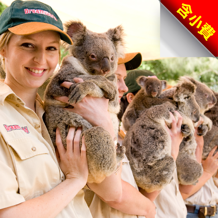 東澳三城全覽9天